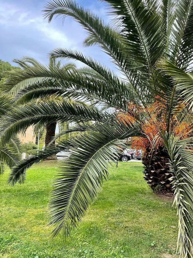 Апартаменты Appartement Saint Tropez