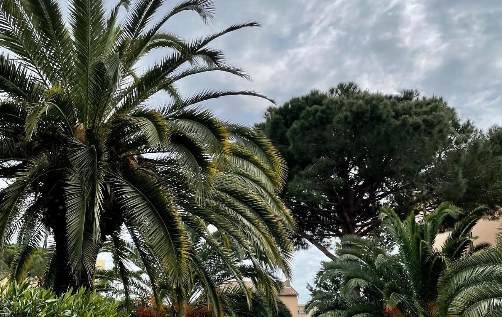 Apartment Appartement Saint Tropez