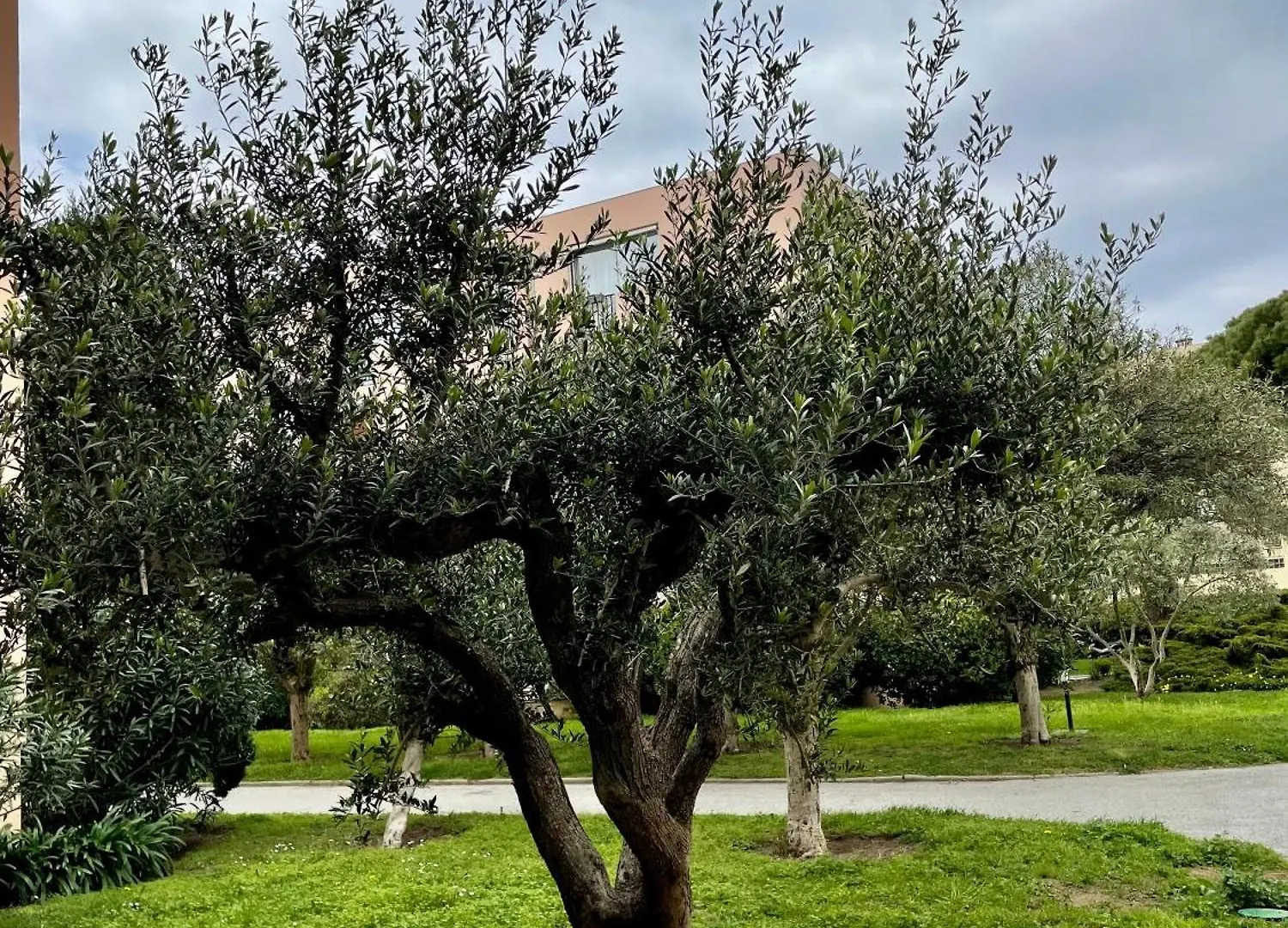 Appartement Saint Tropez Saint-Tropez